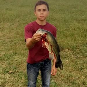 Meet your Posher, Trevor